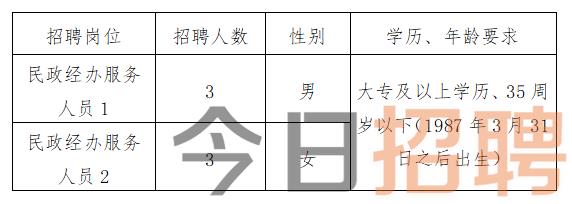 德阳市信访局最新招聘启事概览