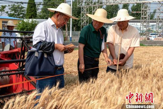 桓台县科技局最新动态与创新突破新闻发布