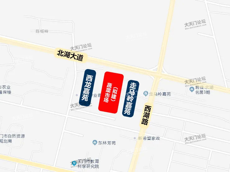 湖西街道最新发展规划，塑造未来城市新面貌蓝图