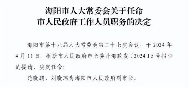 青岛信访局人事任命揭晓，塑造未来信访新篇章