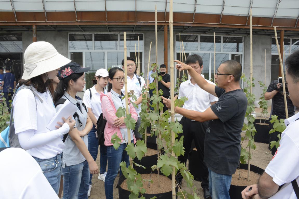 风水沟镇最新新闻报道概览