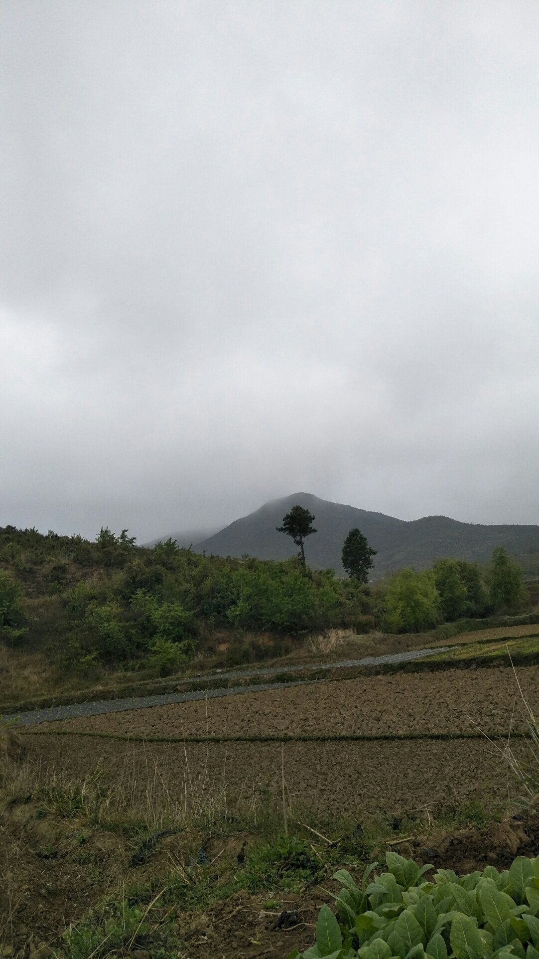 那木起村天气预报更新通知