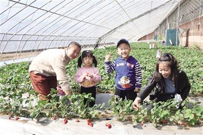 扎兰屯马场新项目重塑草原马术产业，引领地区经济新增长点