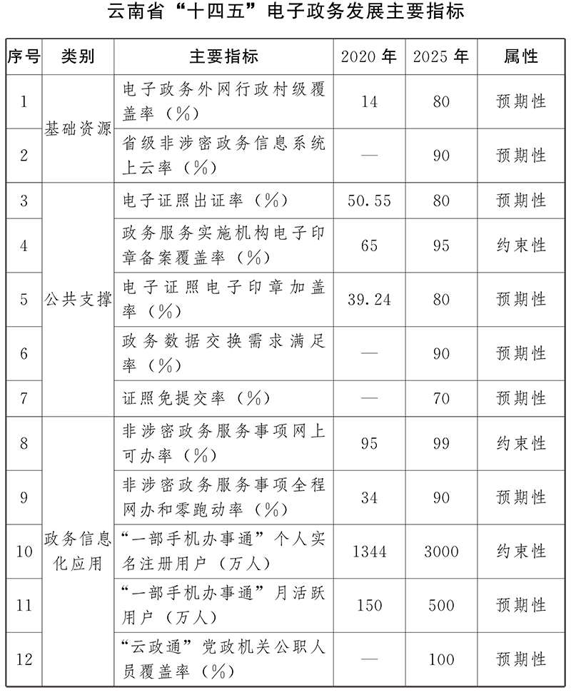 景东彝族自治县数据和政务服务局最新发展规划深度探讨